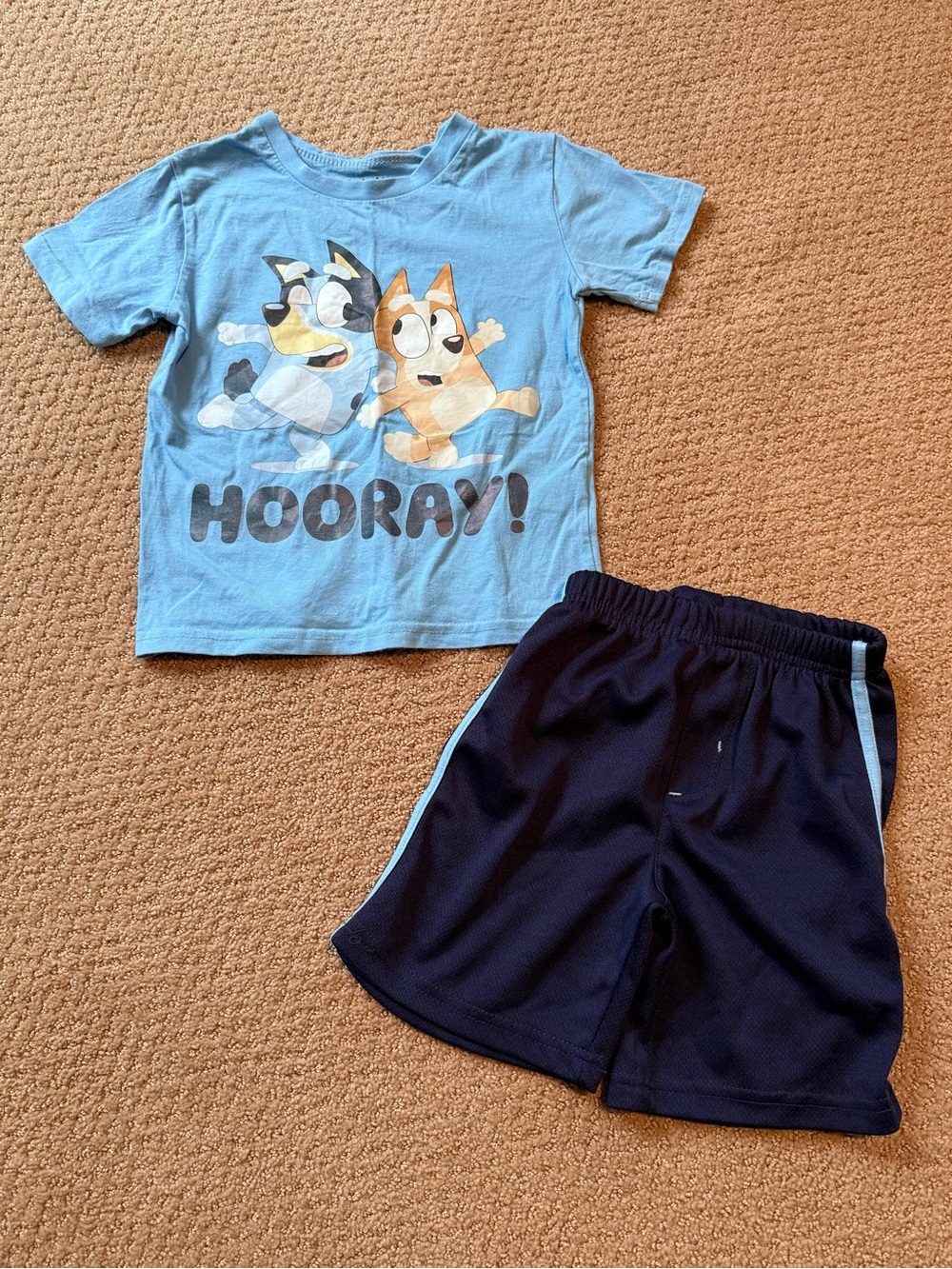 Worn once. Bluey boys outfit. Size 6